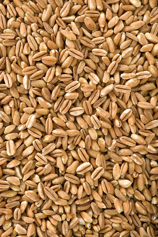 Barilla Farro 400 g