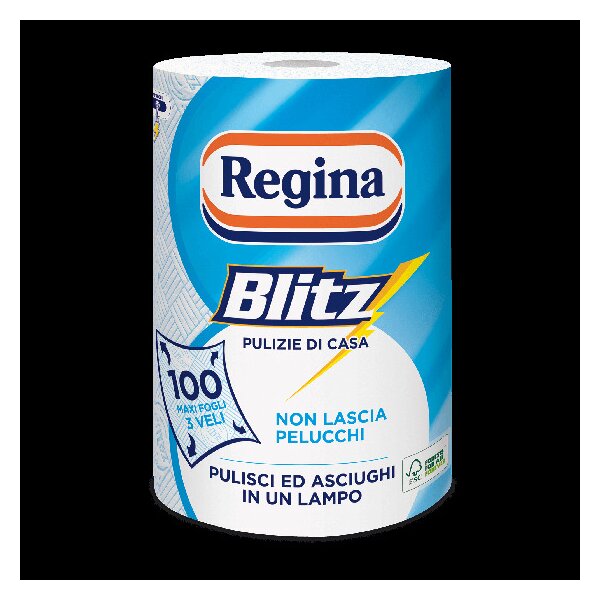 Regina Asciugatutto Blitz Monorotolo